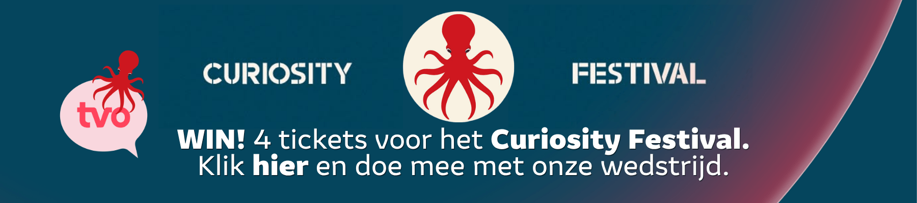 Curiosity Festival