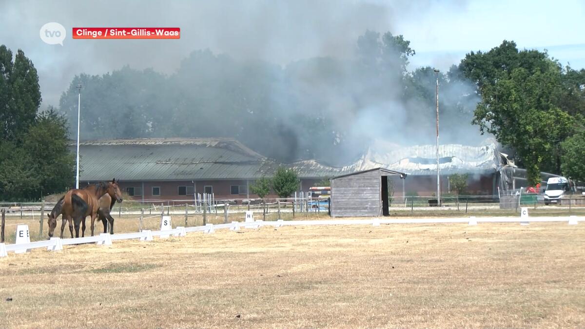 Hevige stalbrand in Nederlandse Clinge, brandweerploegen uit Waasland ter plaatse