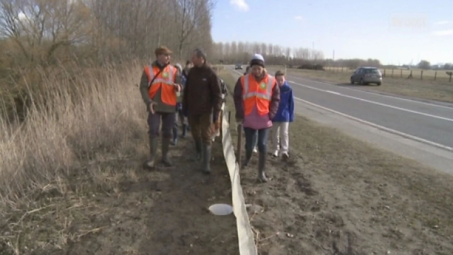 Grote paddentrek komt op gang