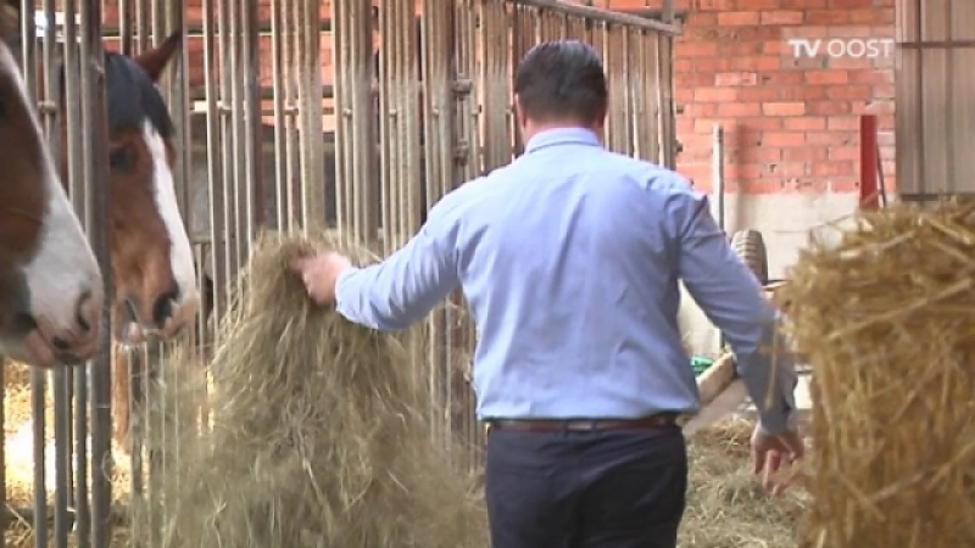 Boeren maken zich zorgen over opschorting melkquota