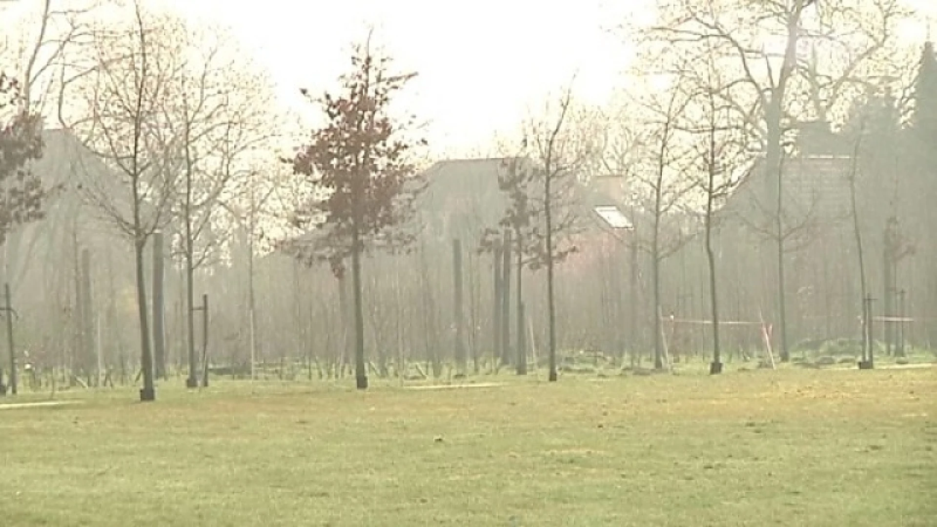 Binnenkort ook natuurbegraafplaats in Aalst?