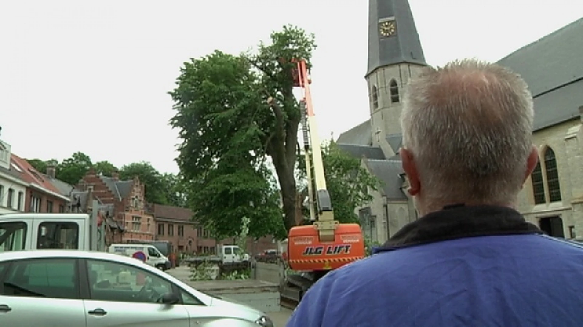 Vredesboom definitief weg