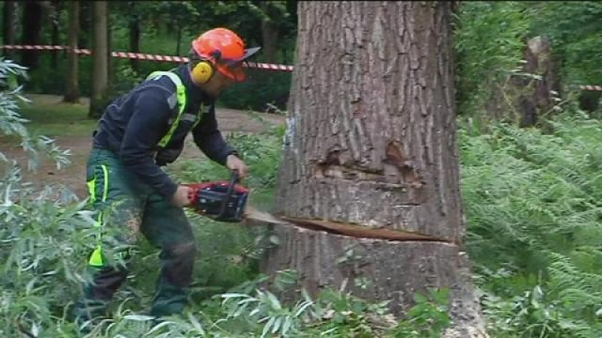Park Provincial: aflevering 1 (deel 2)