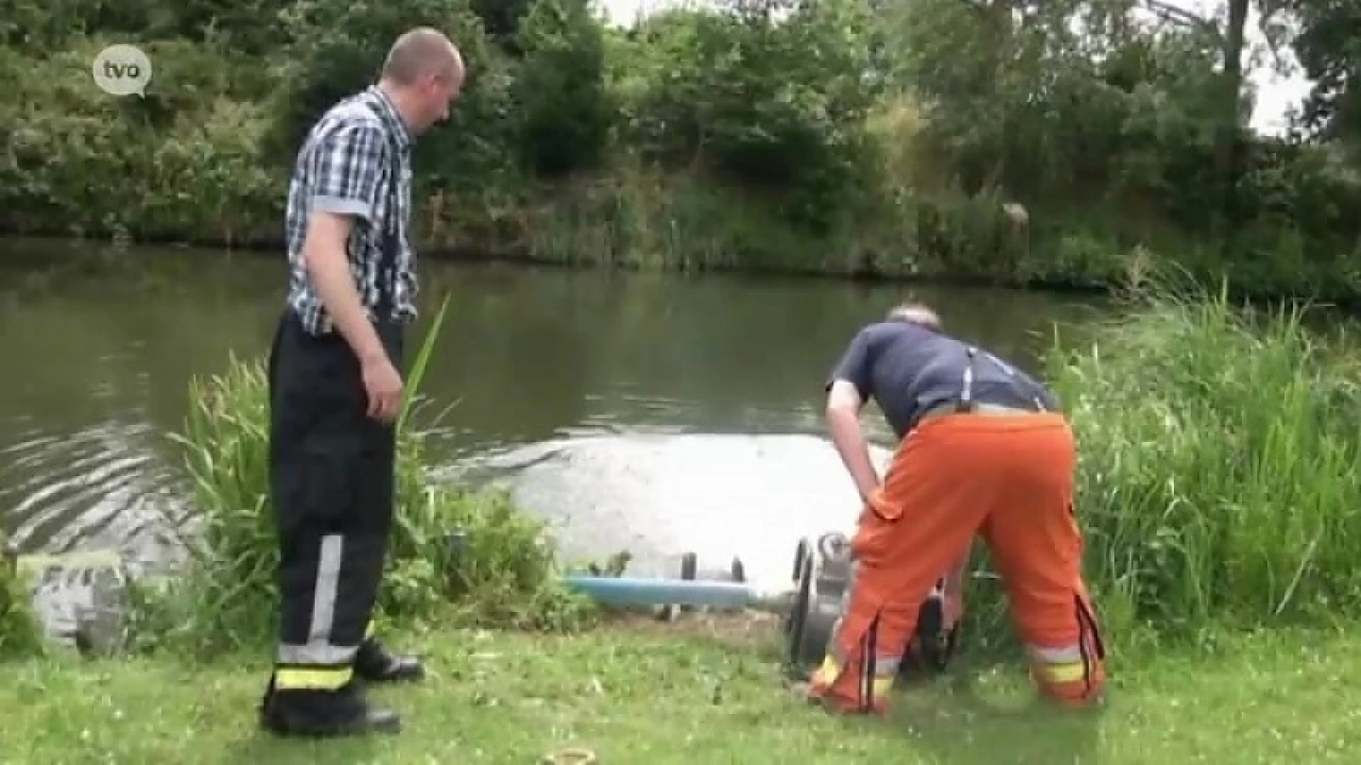 Te weinig zuurstof in water door hittegolf