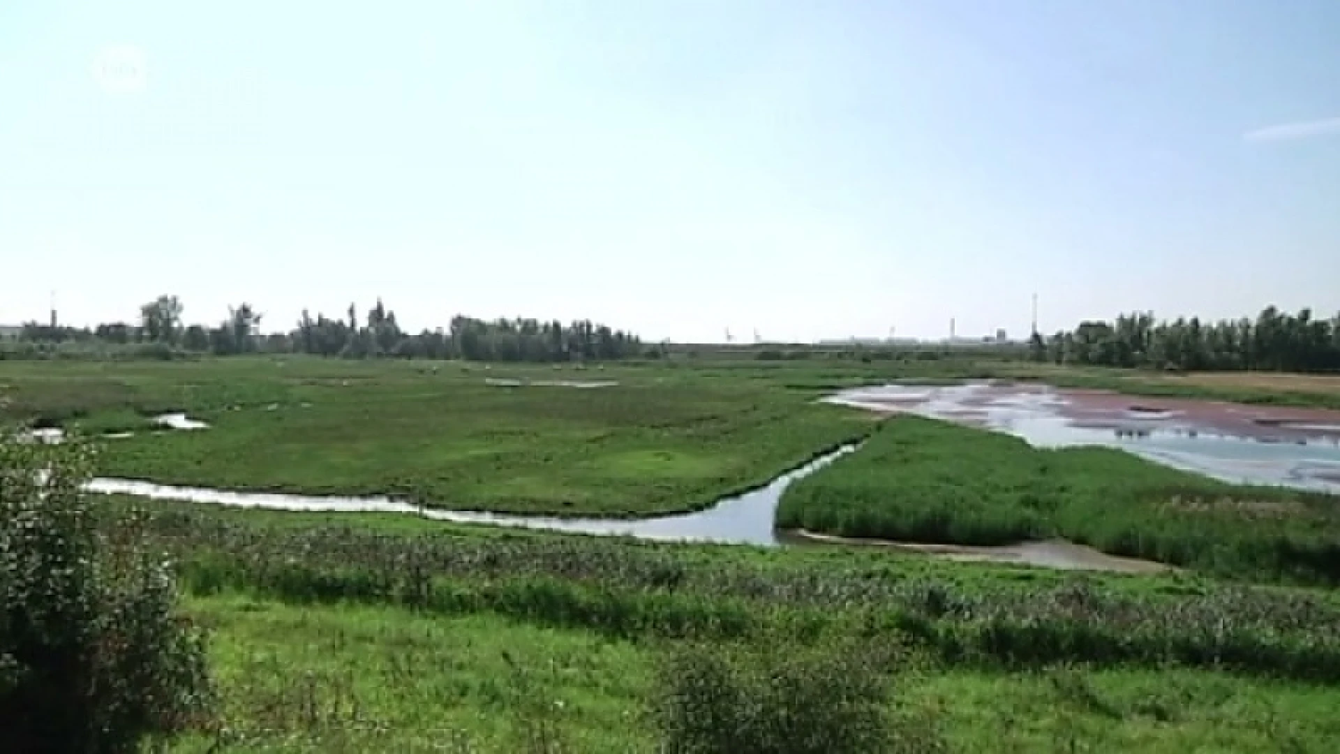 Illegaal bagger gestort in polders van Doel