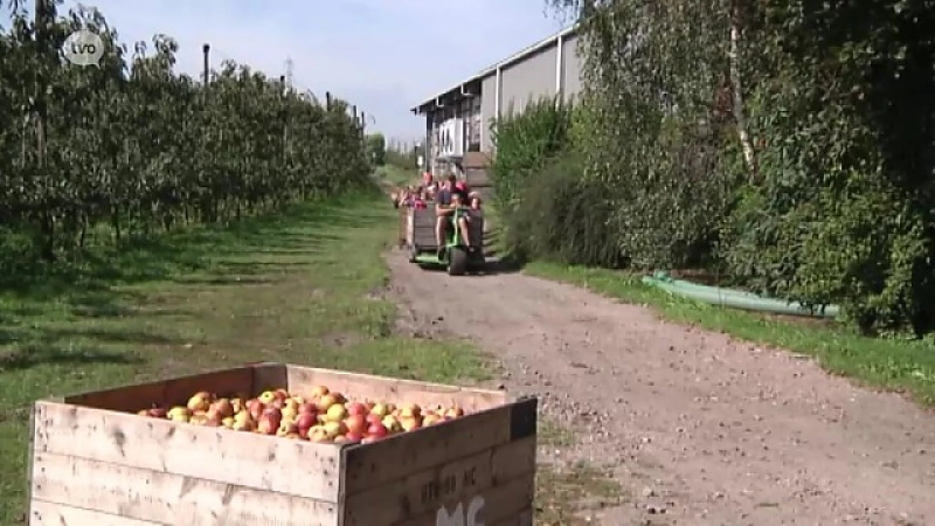 Hoofdafbeelding voor artikel Plattelandspret: afl 47