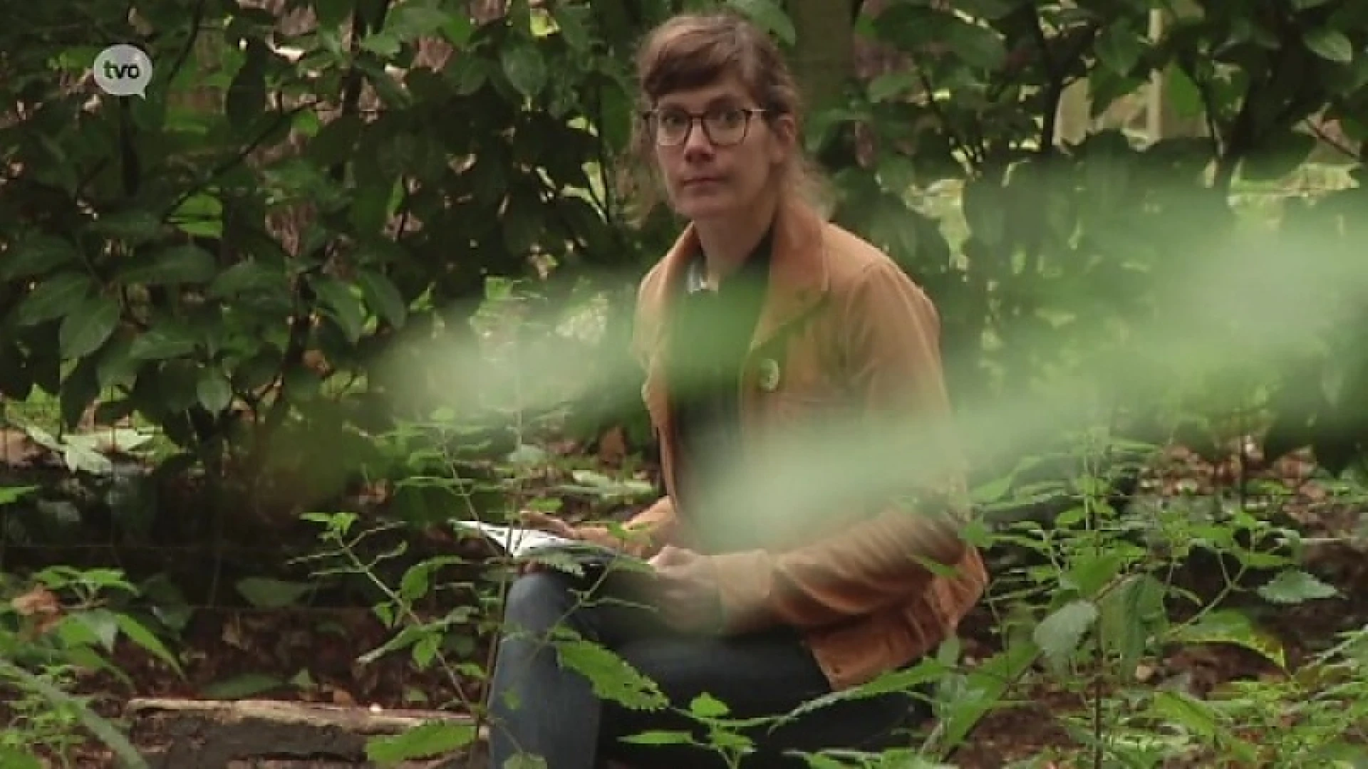 Hoofdafbeelding voor artikel Sint-Niklaas TV: Wandelbrochure