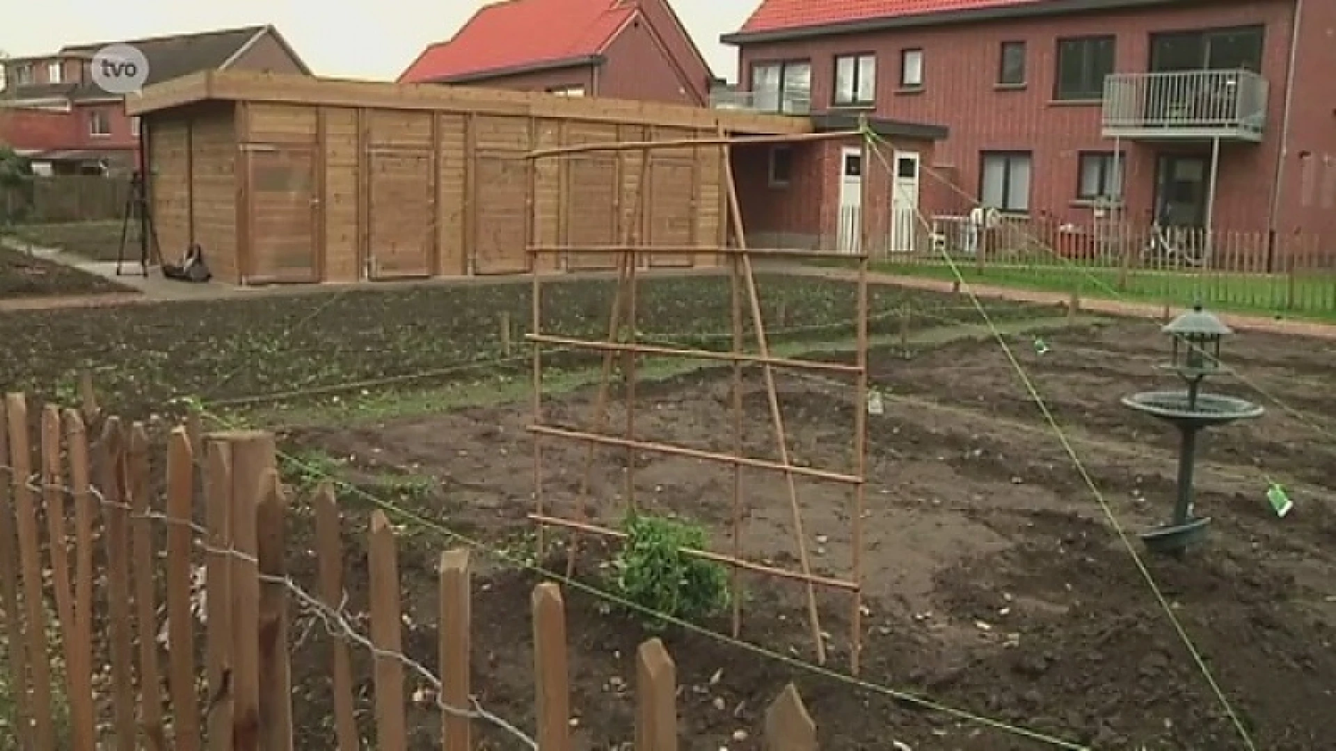 Volkstuintjes in opmars, nieuwe volkstuintjes geopend in Hamme