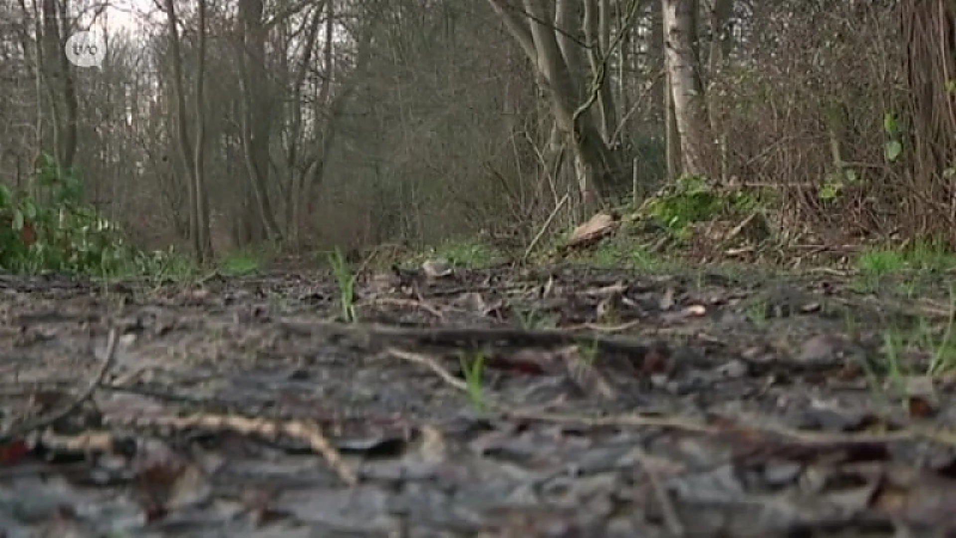 Natuurreservaat Boelaremeersen wordt 48 hectare groot