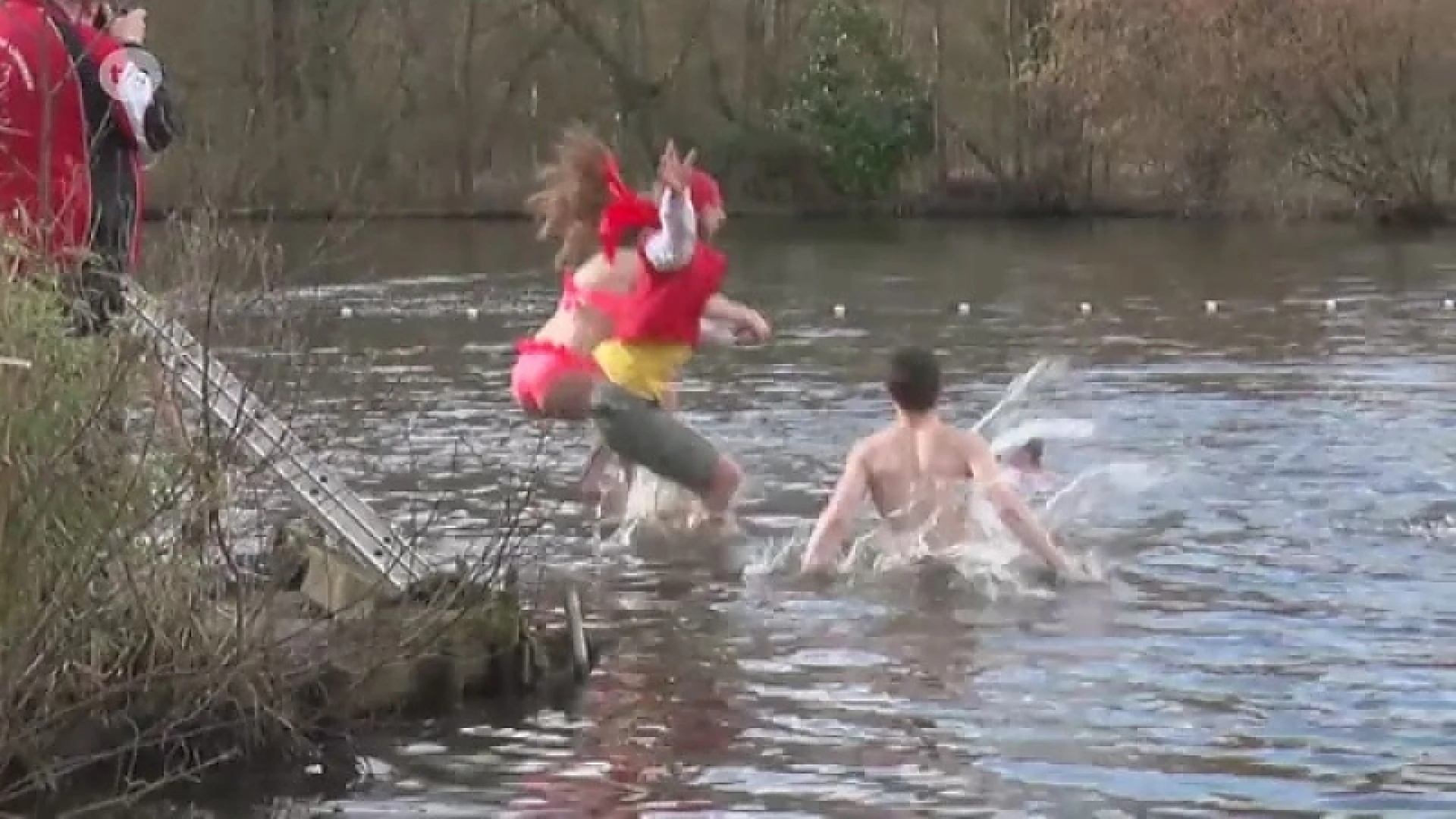 Dendermondse ijsberen genieten van jaarlijkse carnavalsduik in Den Bunt