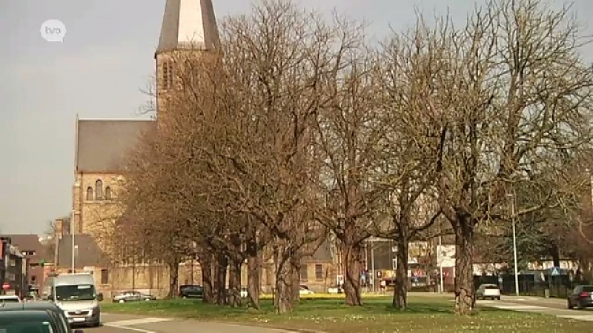 Meer dan 50 oude wilde kastanjelaars tegen de vlakte in Aalst