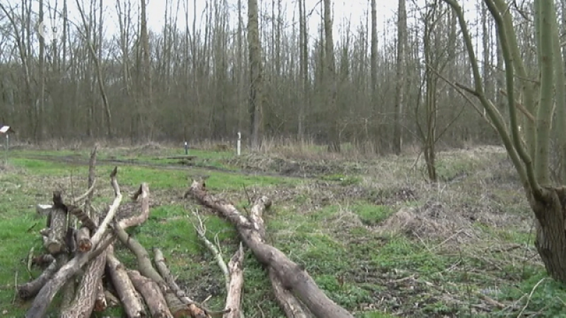 Minister Schauvliege fluit uitbreiding Poelbos in Lebbeke terug