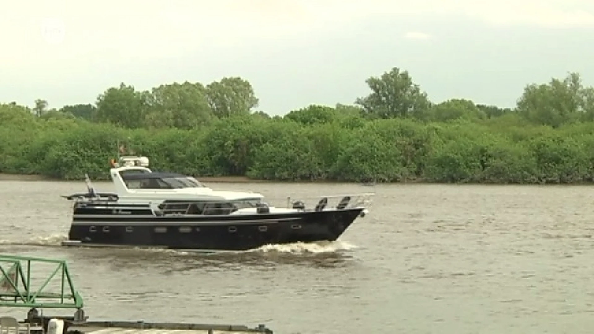 Maar liefst 41 soorten vis in de Schelde