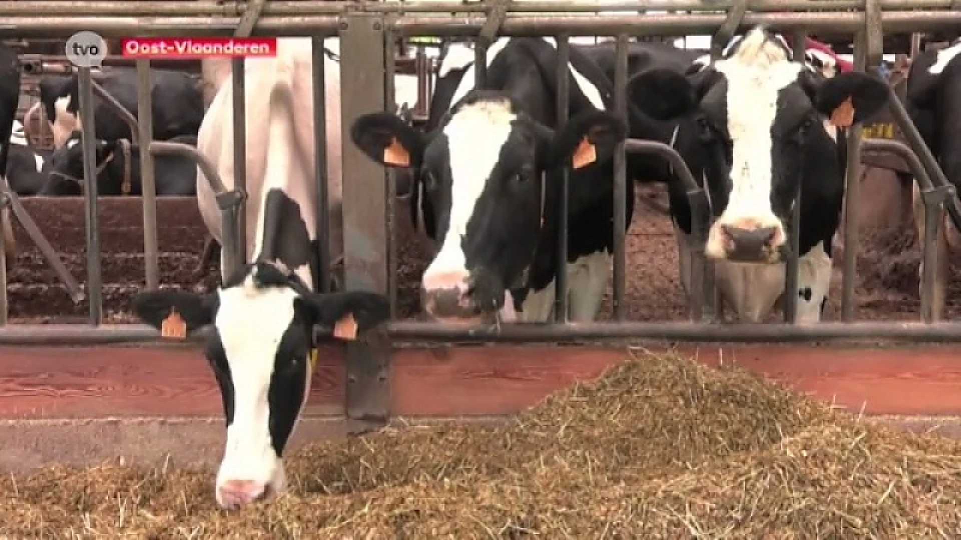 Drie keer meer rechtstreekse verkoop van boerderijproducten op 5 jaar tijd