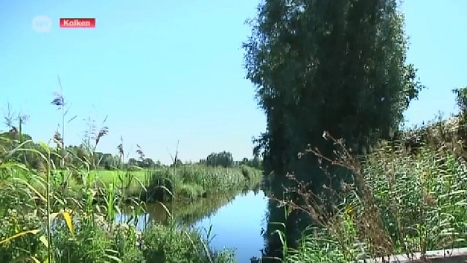 Kalkense vaart properste water van Oost-Vlaanderen