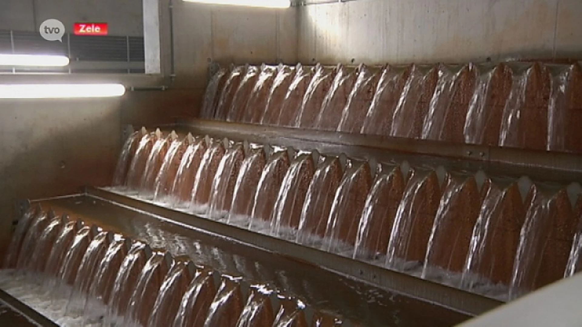 Vernieuwd waterproductiecentrum ingehuldigd in Zele