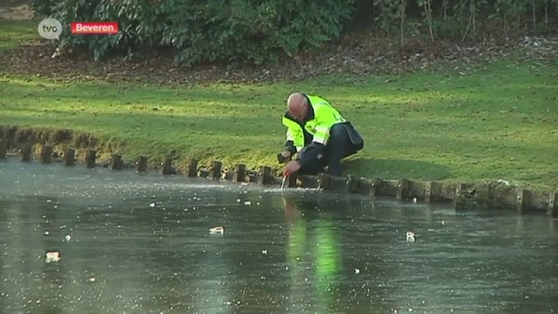 Hoofdafbeelding voor artikel Koud winterweer, maar schaatsen…