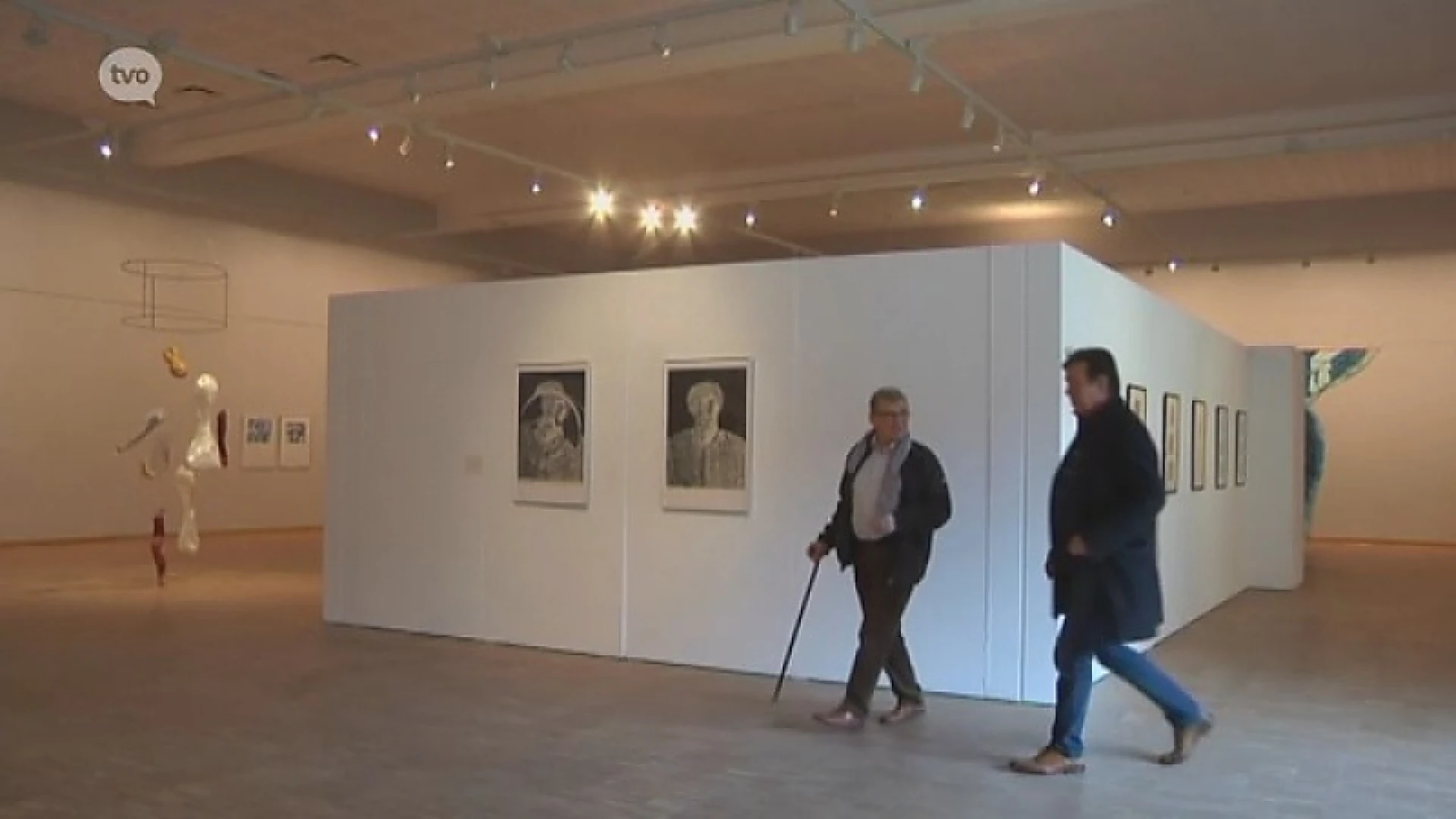 Sint-Niklaas TV: Special Art Festival