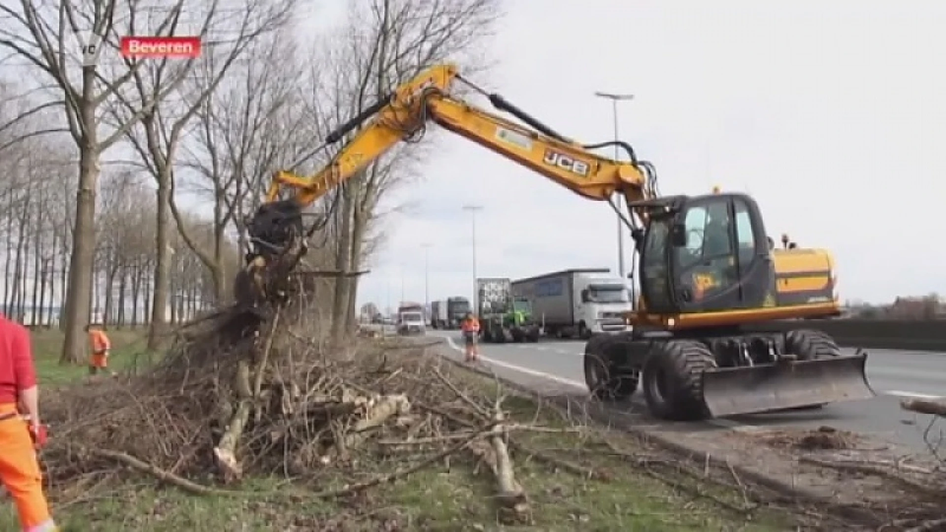 Lange files op E34 richting kust door snoeihout