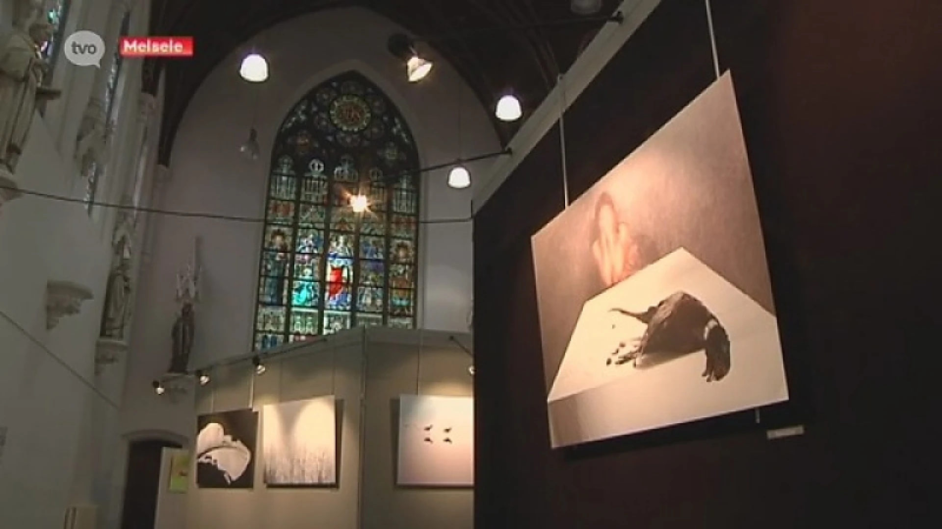 Indrukwekkende expo van amateur-natuurfotografen in Melsele