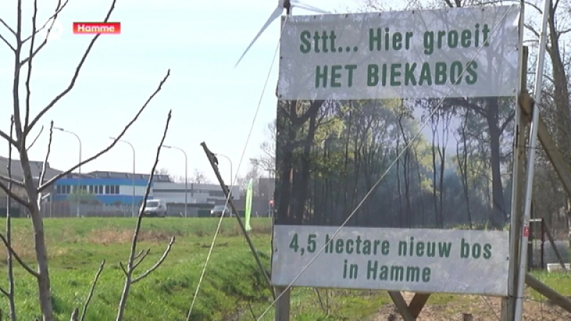 5000 bomen voor nieuw bos in Hamme