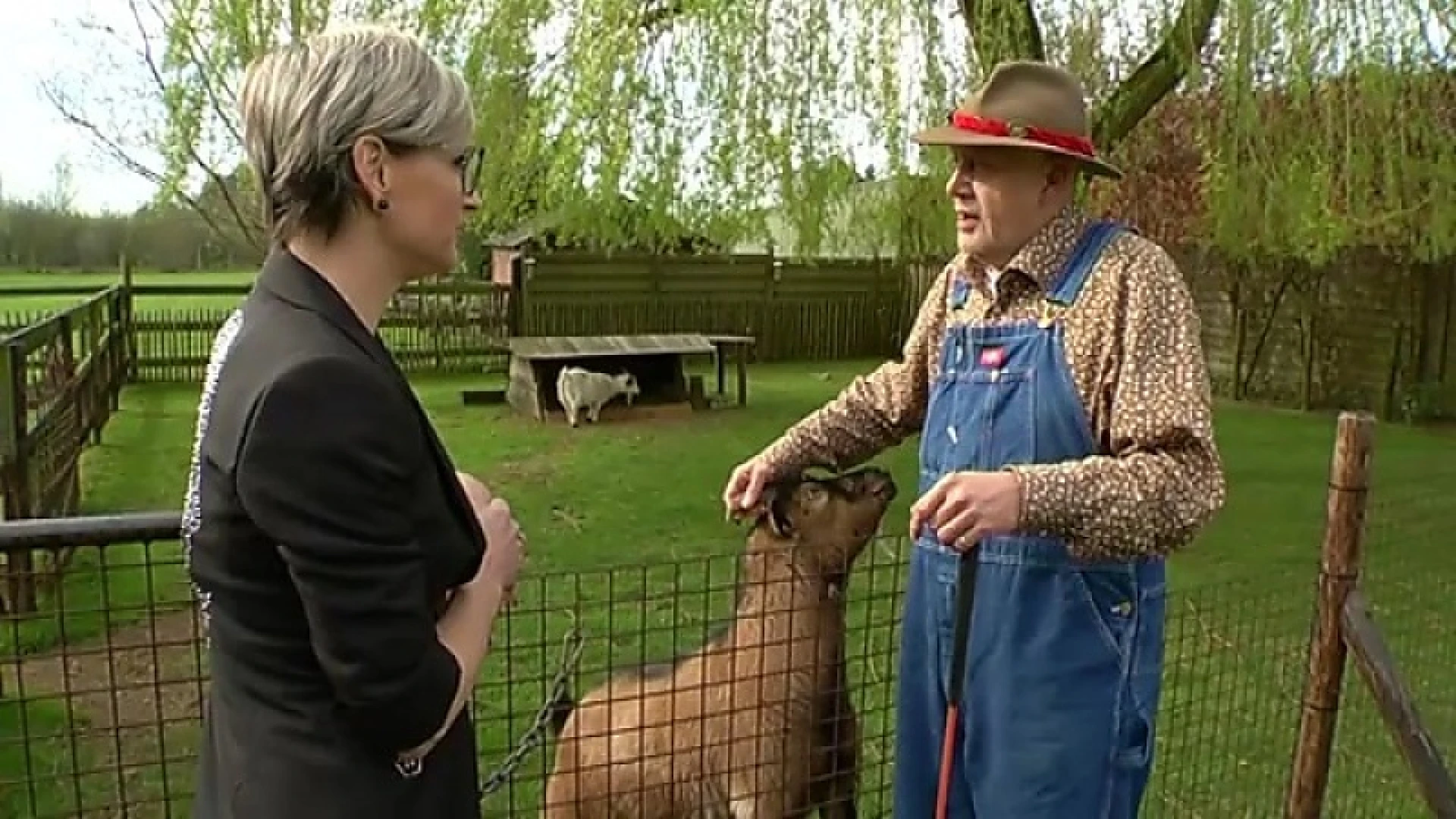 Carry Goossens op het platteland