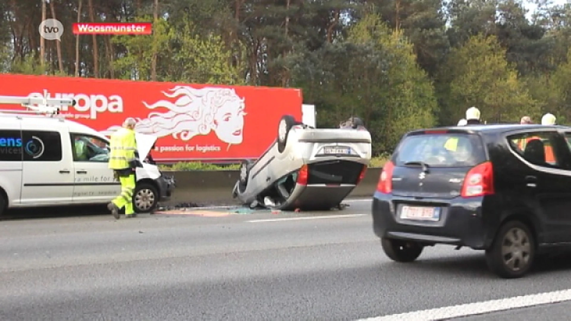 Chauffeur kan overstekend hert niet meer ontwijken op E17 in Waasmunster