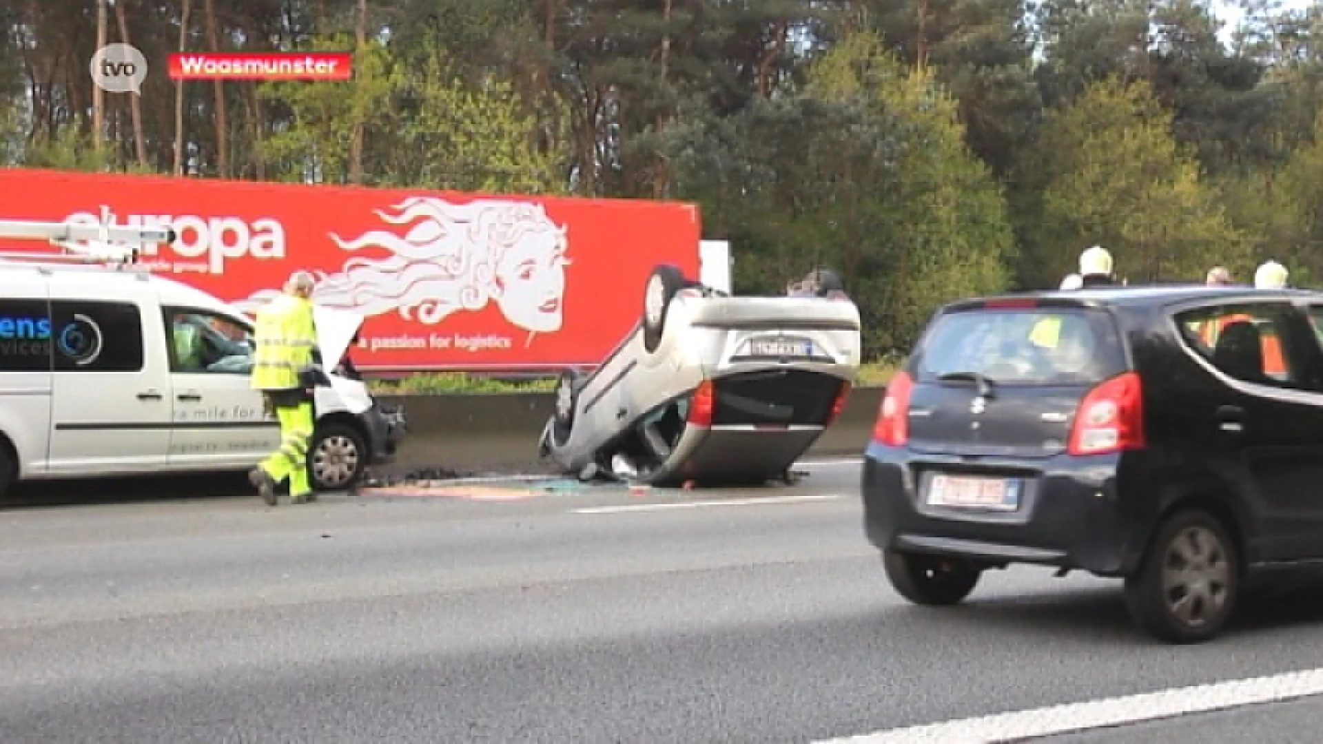 Ongeval met hert veroorzaakt file op E17 in Waasmunster