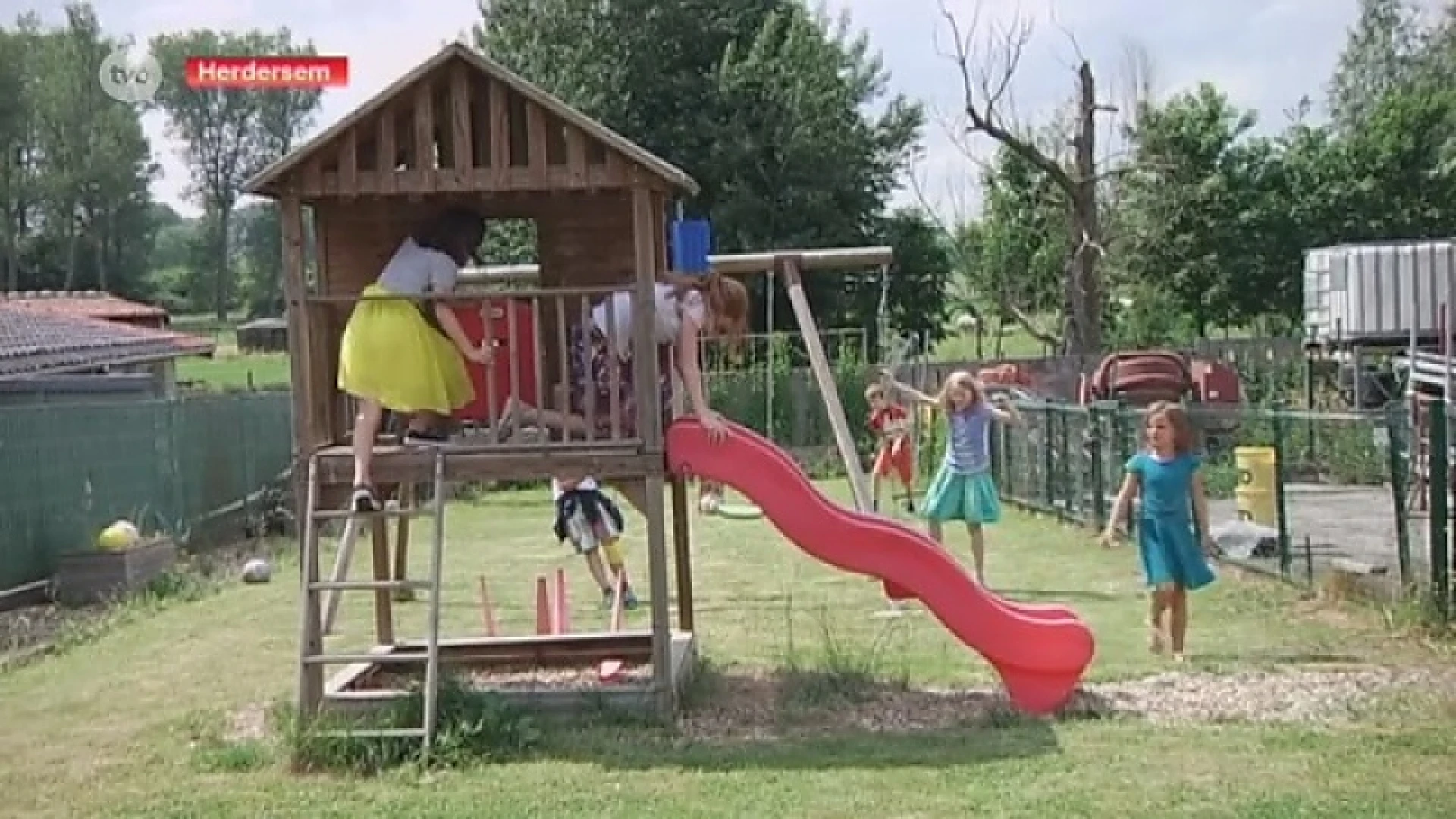 Hoofdafbeelding voor artikel Aalsters gezin ontfermt zich…