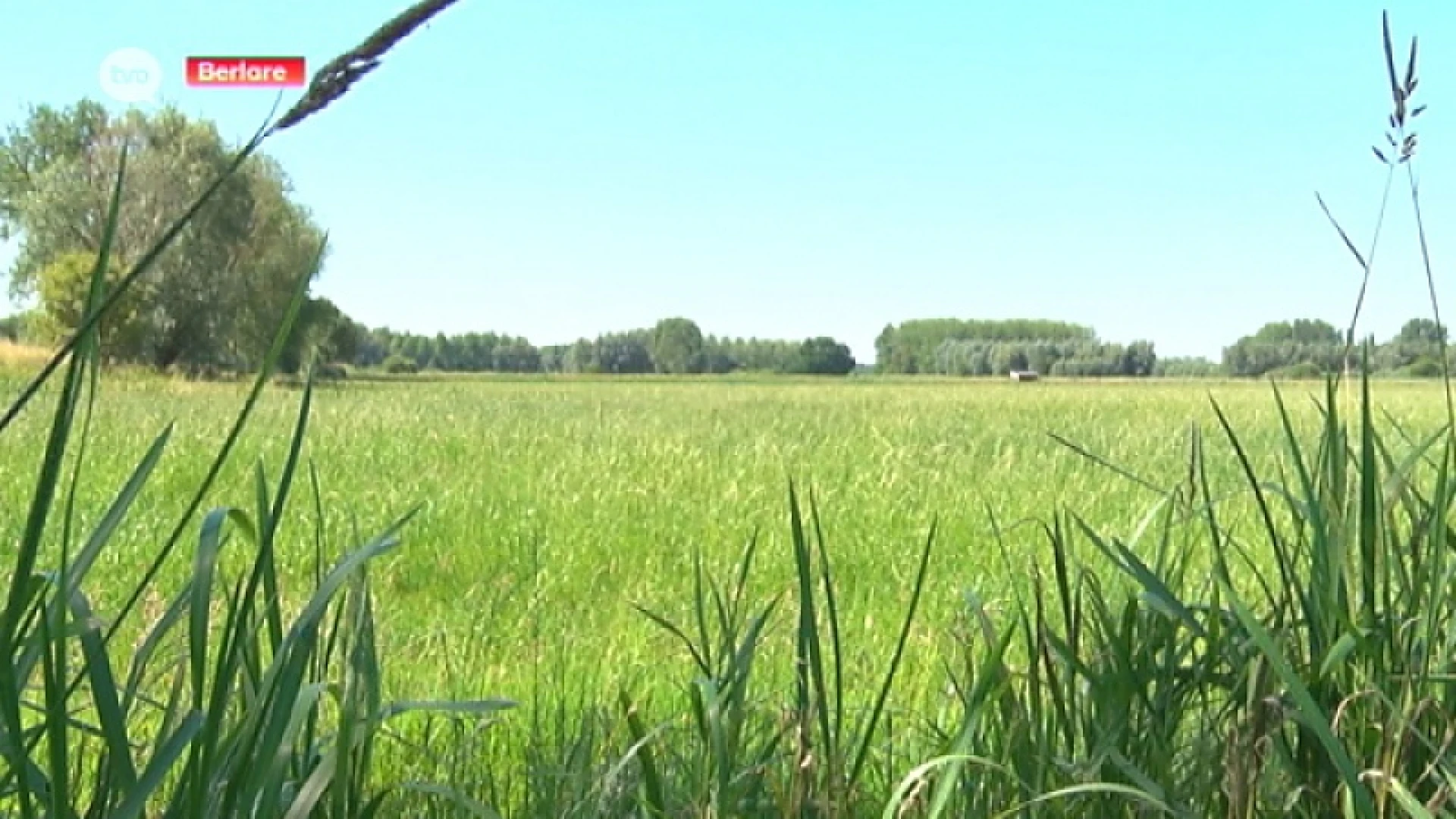 KMI-rapport moet bepalen of extreme droogte een ramp is