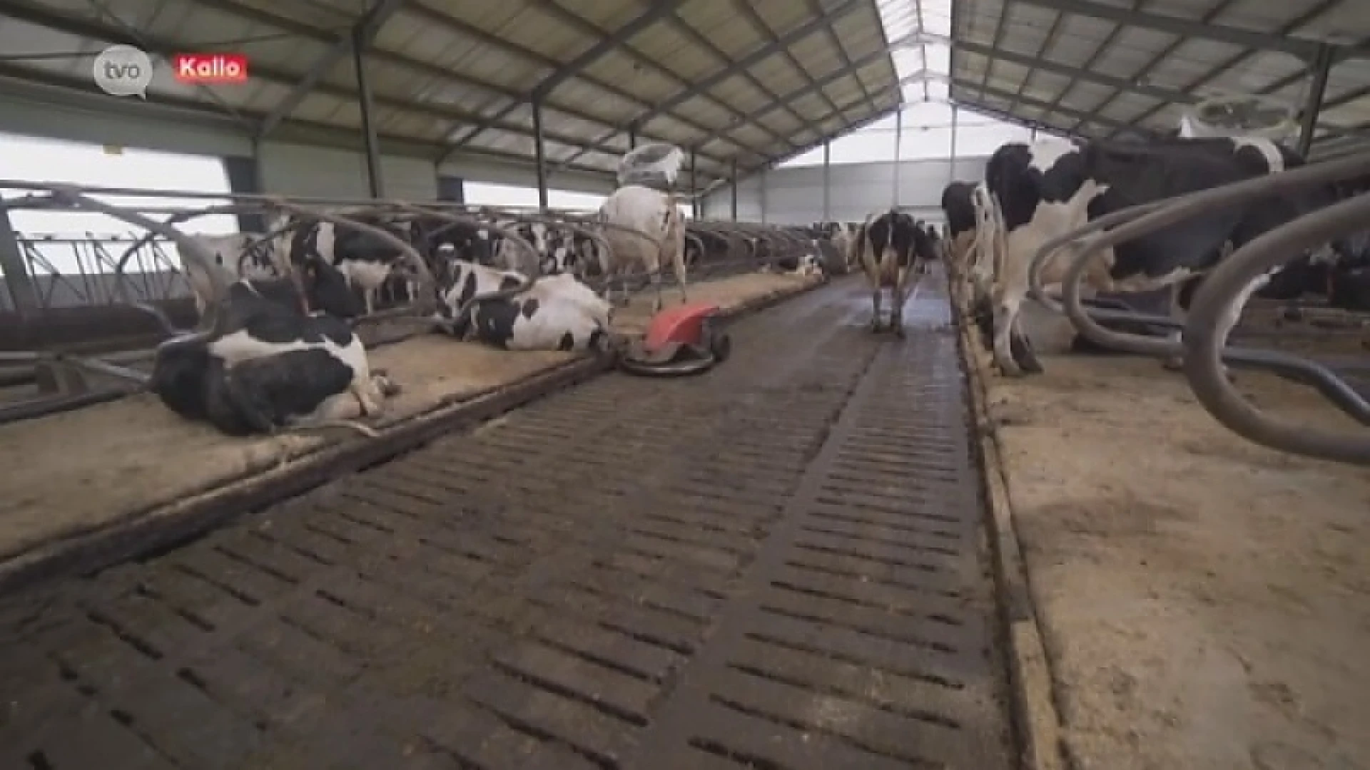 Toekomst melkboeren ziet er weer beter uit