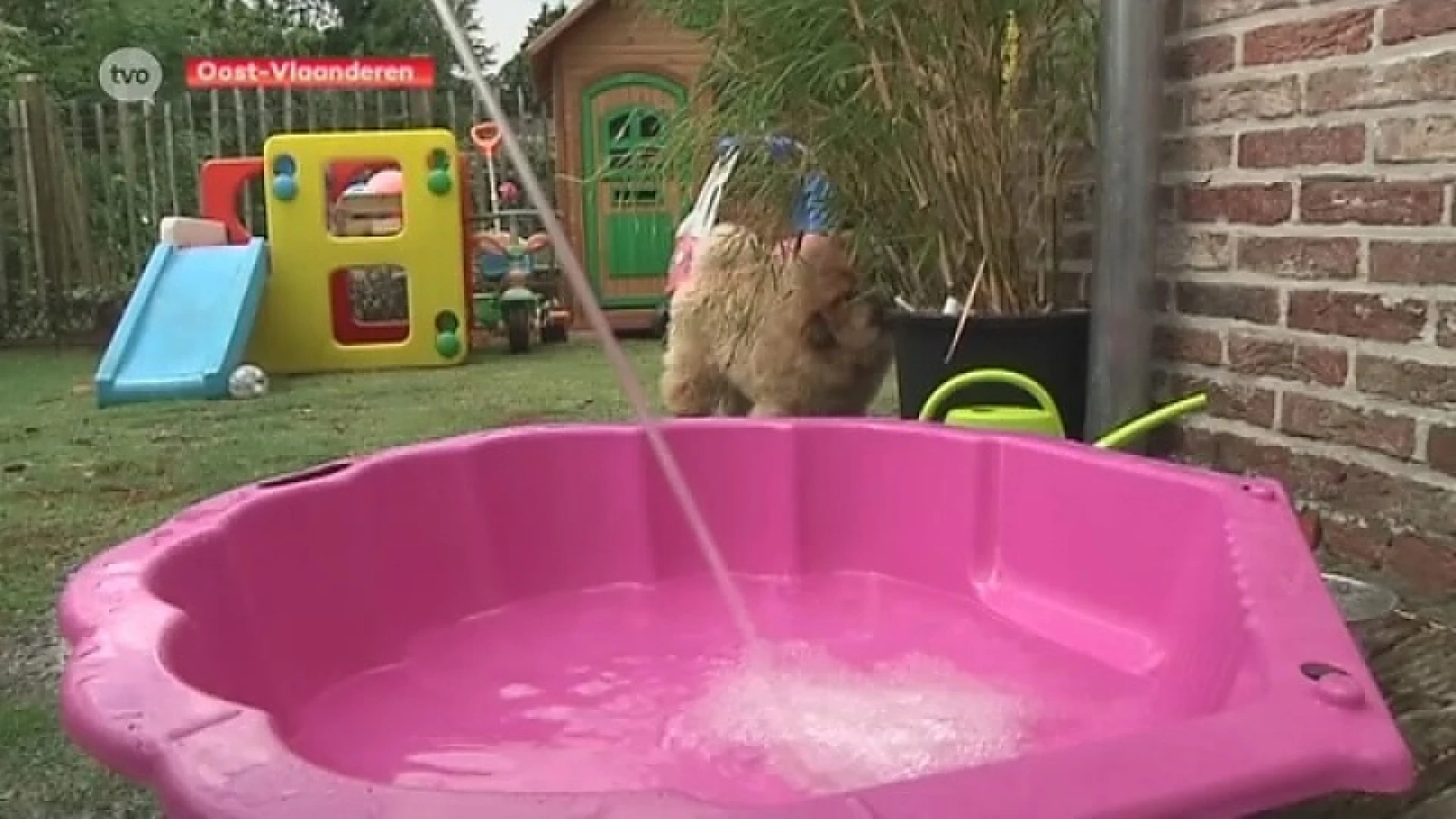 Sproeiverbod laat zich meteen voelen in drinkwaterverbruik