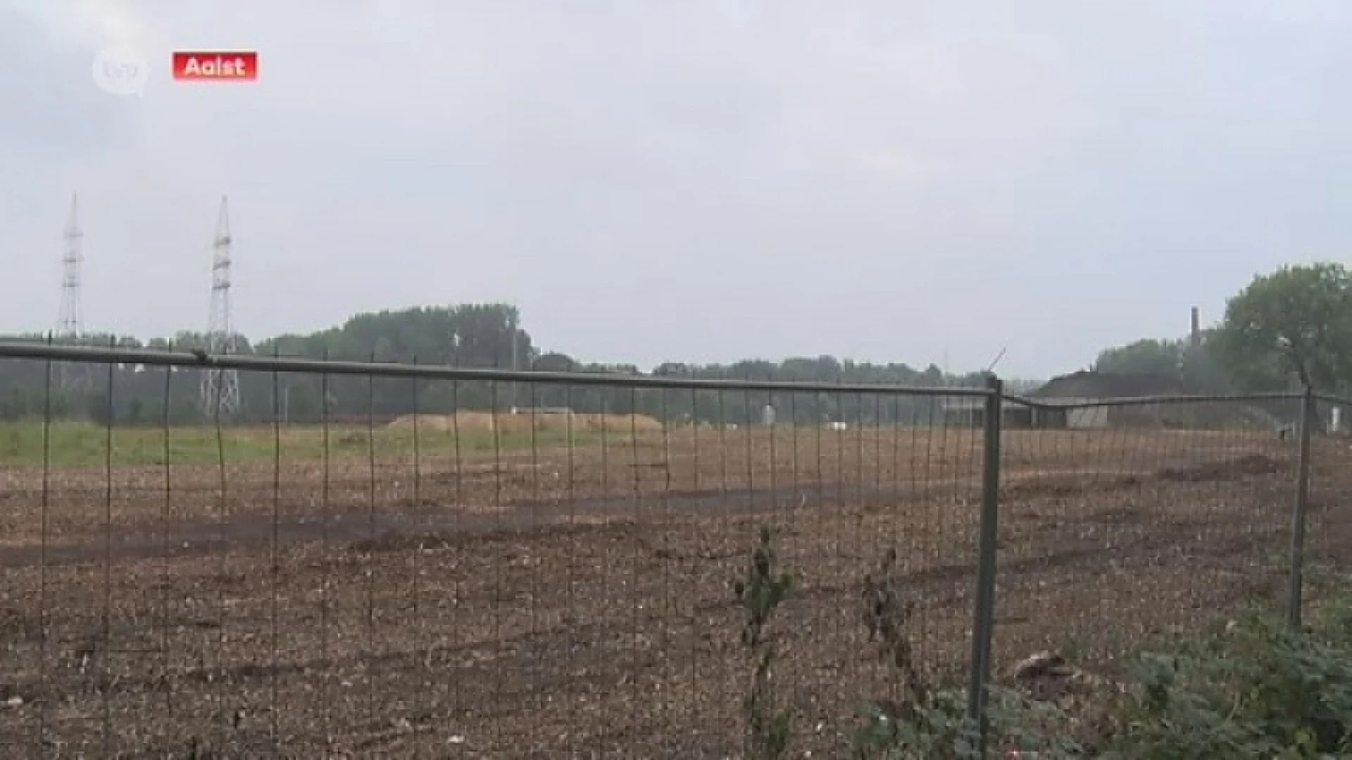 Aalst neemt topadvocaat onder de arm voor illegale bomenkap