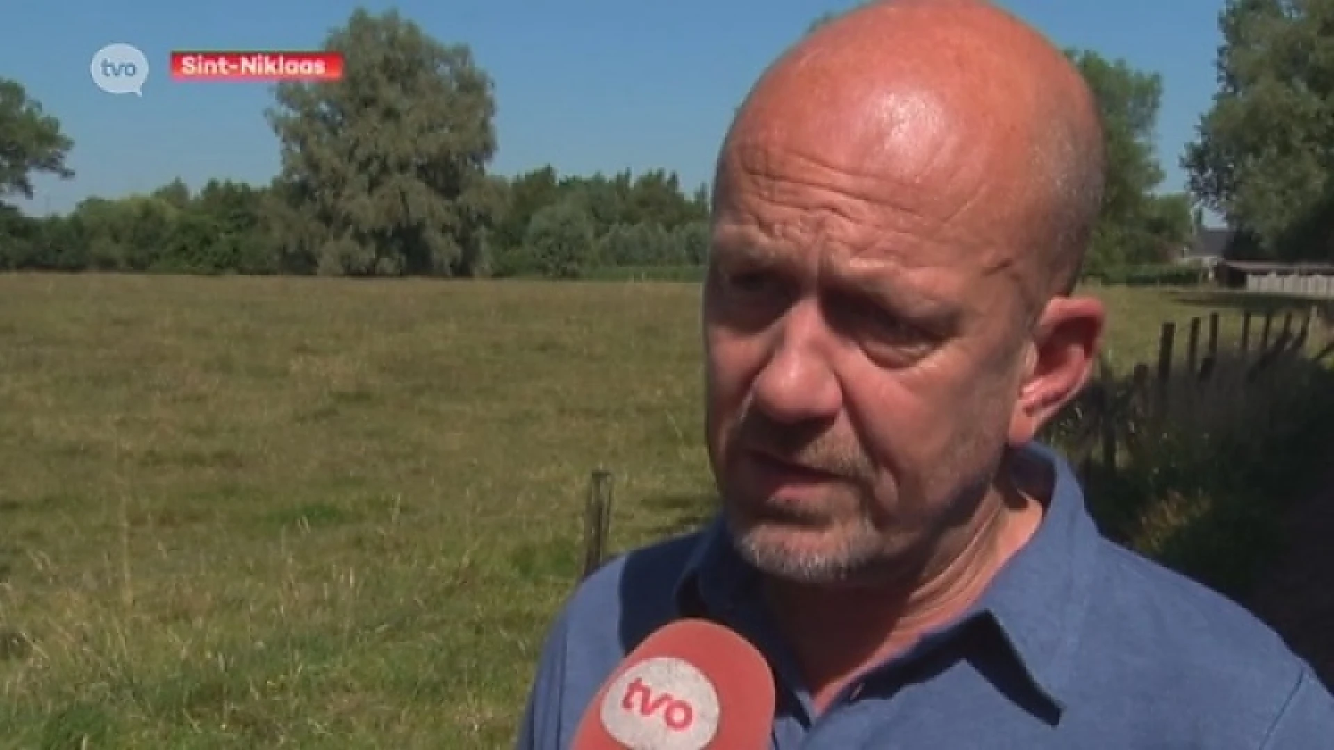 Vogelbescherming Vlaanderen: "Opnieuw leren samenleven met wilde dieren."