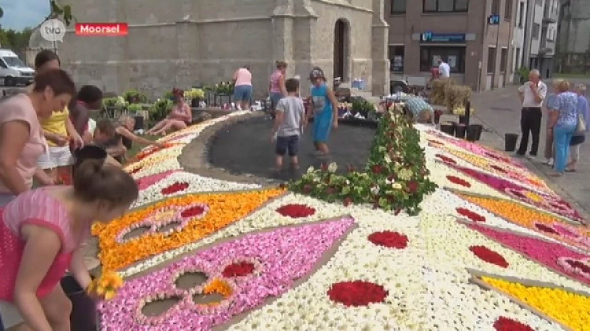 Er ligt weer een prachtig bloementapijt in Moorsel voor de Pikkeling