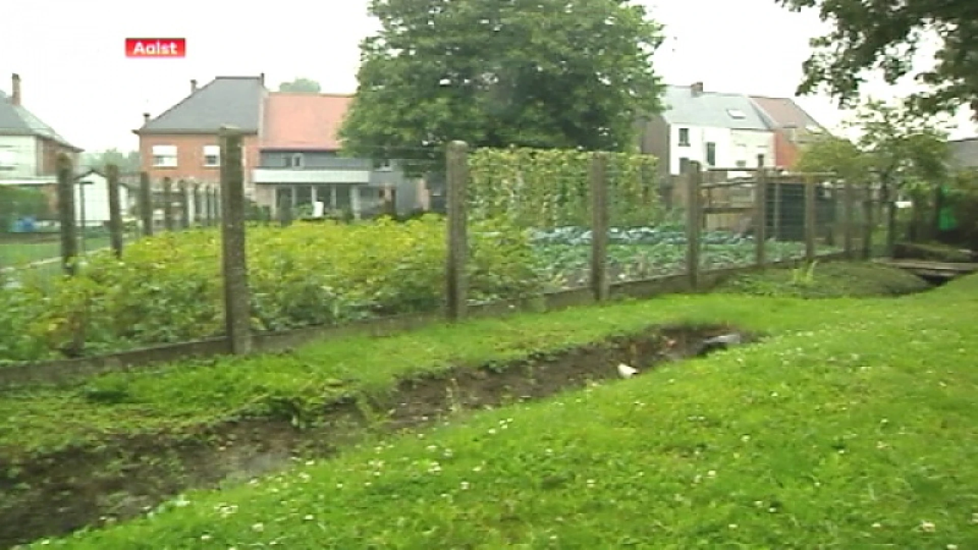 Hoofdafbeelding voor artikel Hond sterft mogelijk door…