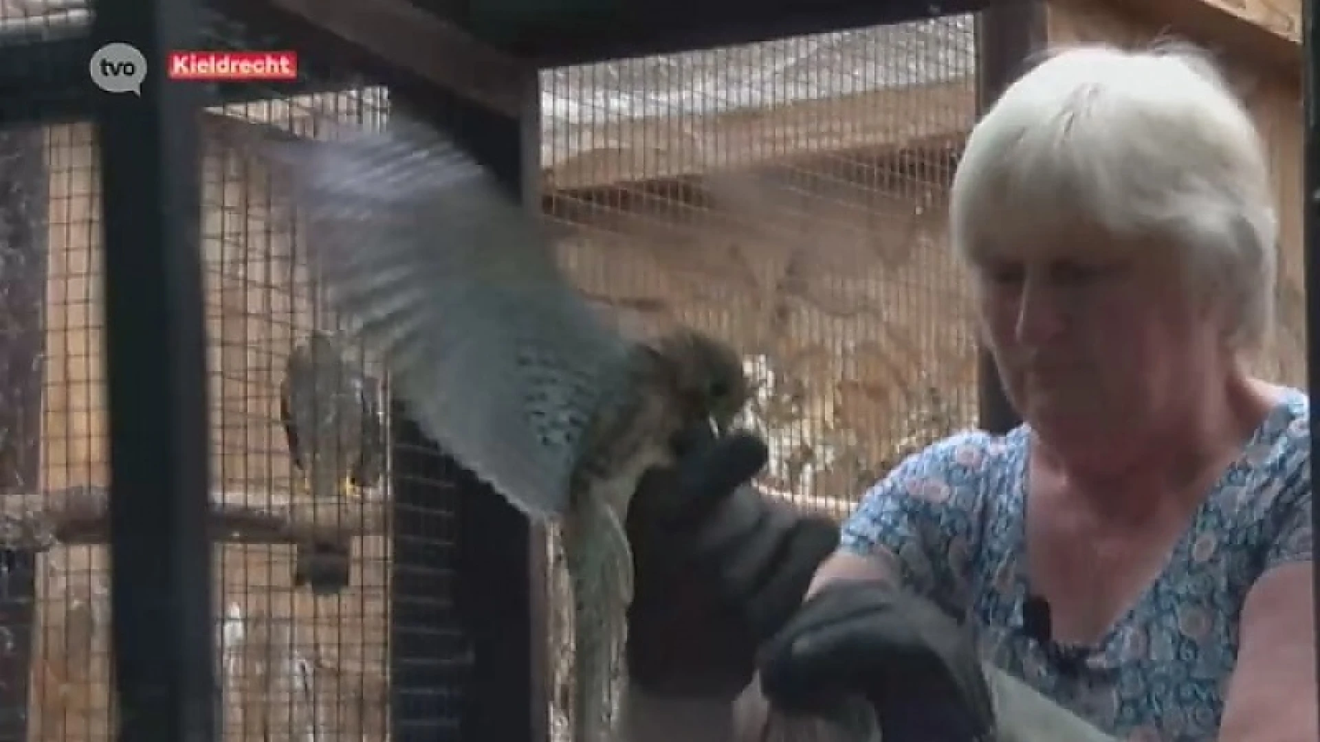 Denise is al 40 jaar 'havenheldin' van het dierenrijk in Kieldrecht