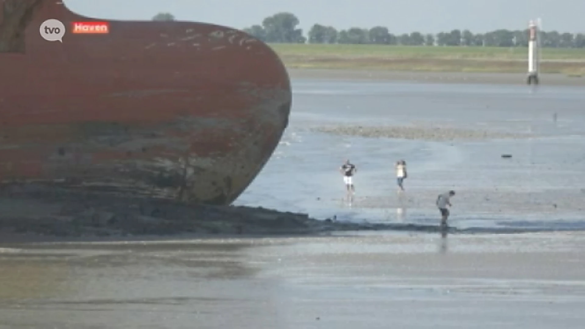 Chaos in Antwerpse haven na vastgelopen containerreus in bocht van Bath bij Doel