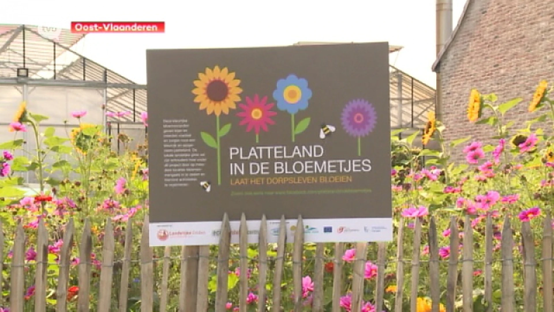 Platteland maakt plaats voor bloemenweiden