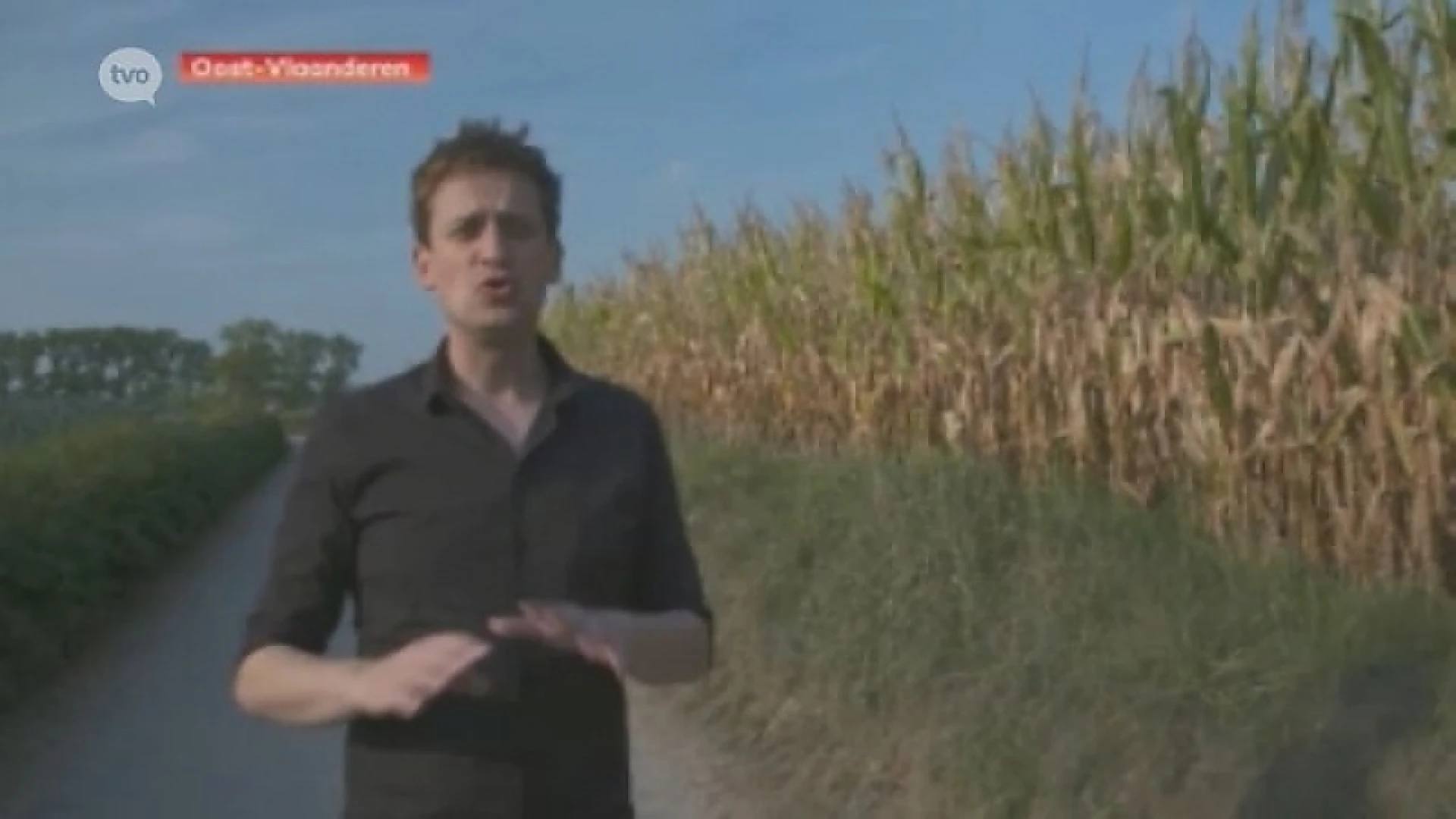 Hoofdafbeelding voor artikel Vincenzo keert met nieuw programma…