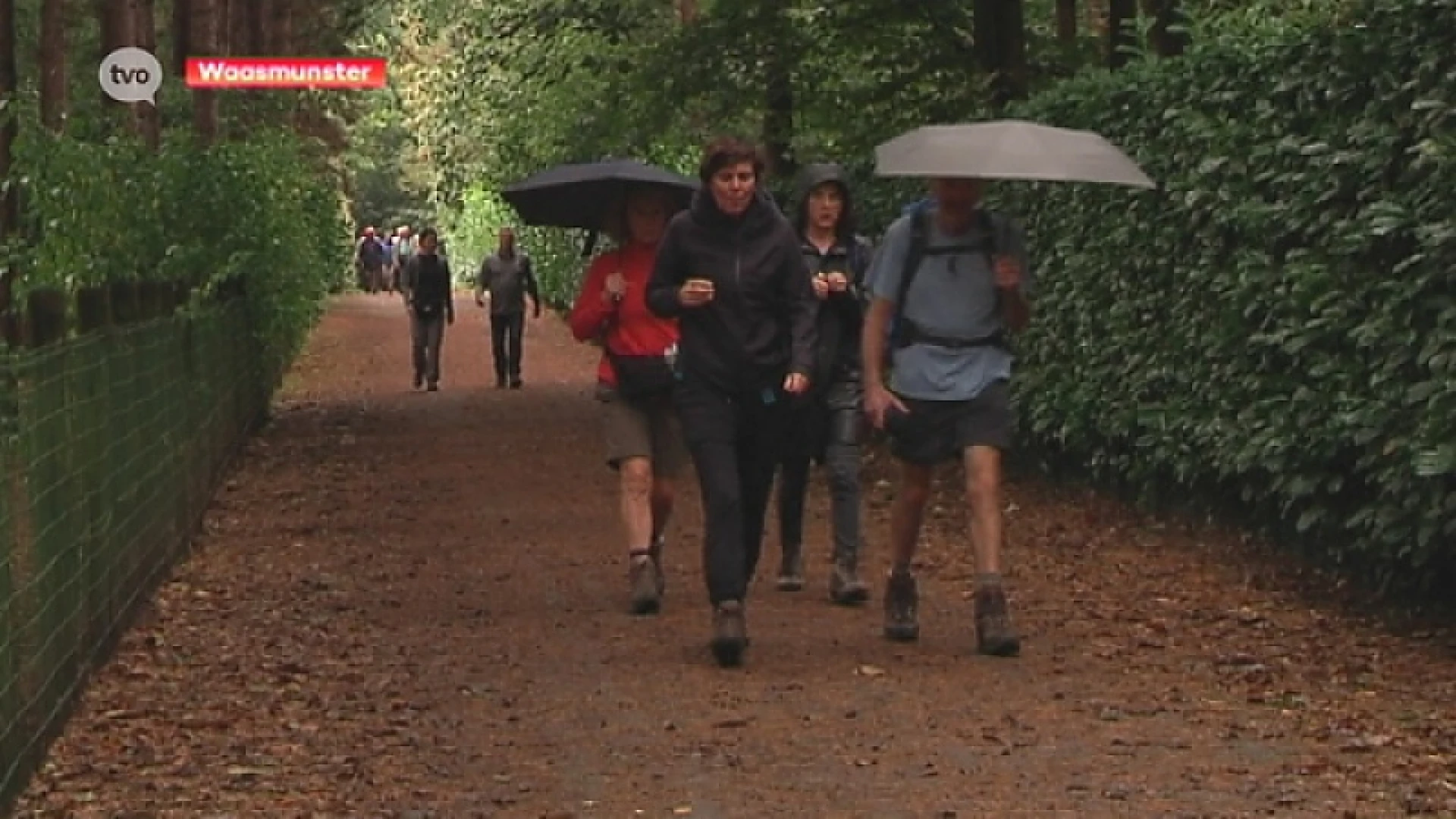 Week van het Bos: "De natuur beweegt ons allemaal"