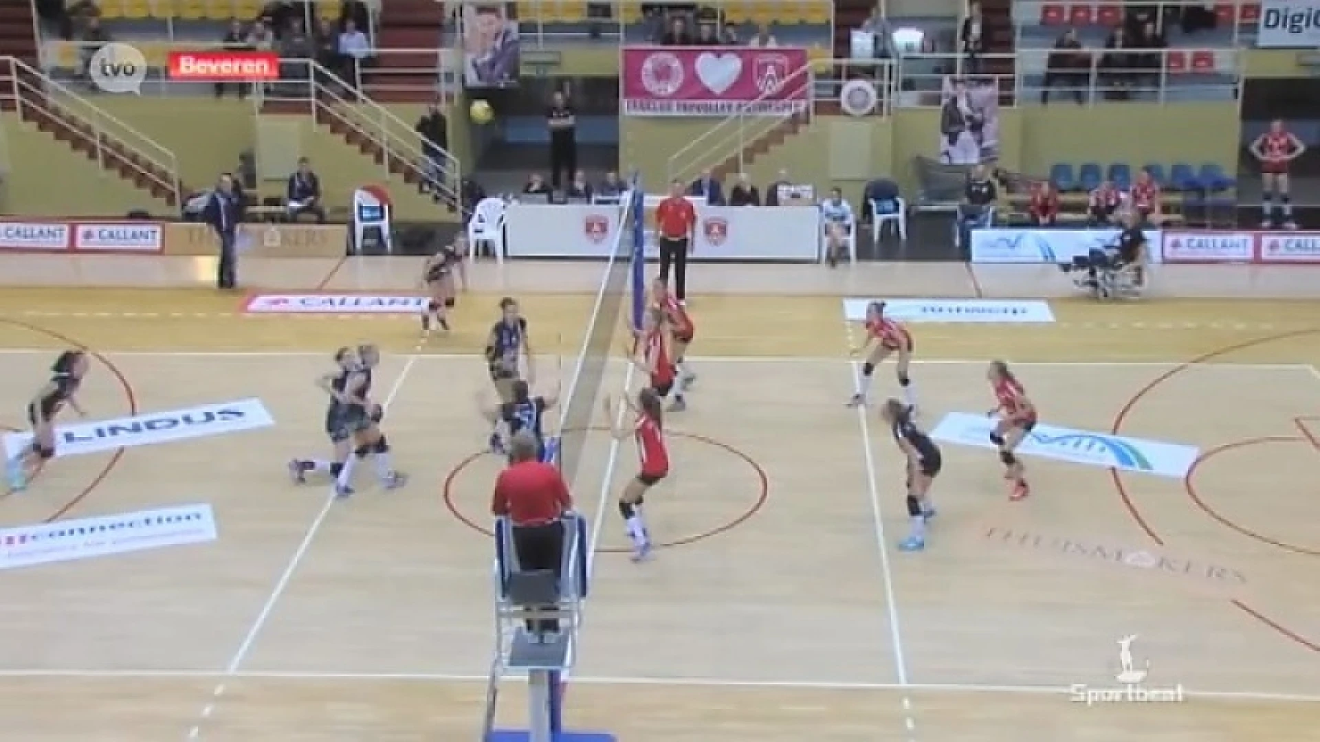 Hoofdafbeelding voor artikel Thuismakers Interfreight Antwerp…