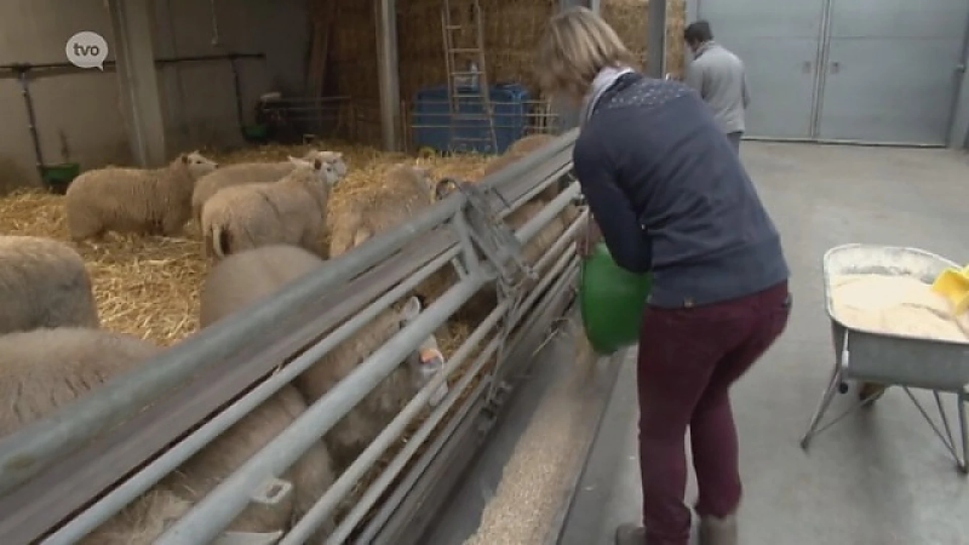 Hoofdafbeelding voor artikel Plattelandspret: Afl. 24 2017