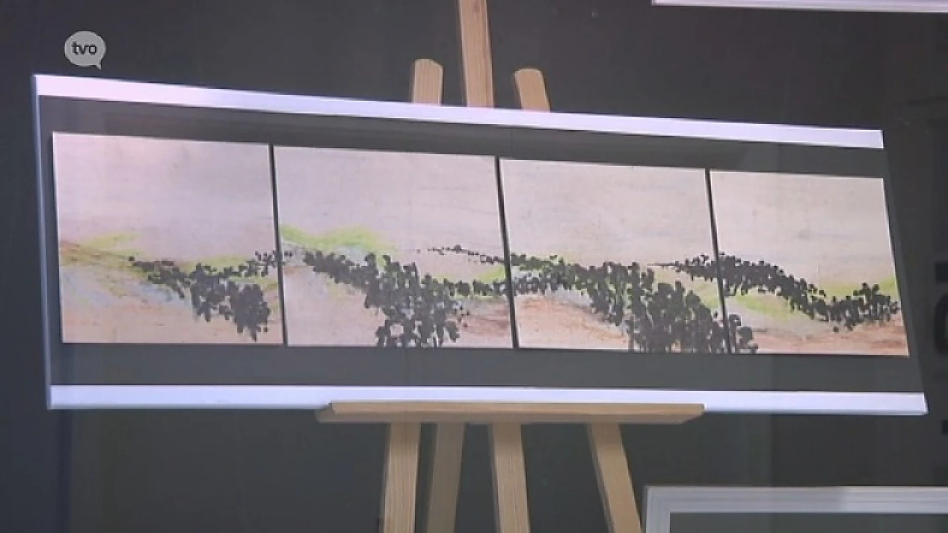 Hoofdafbeelding voor artikel Sint-Niklaas TV: Van Heinde…