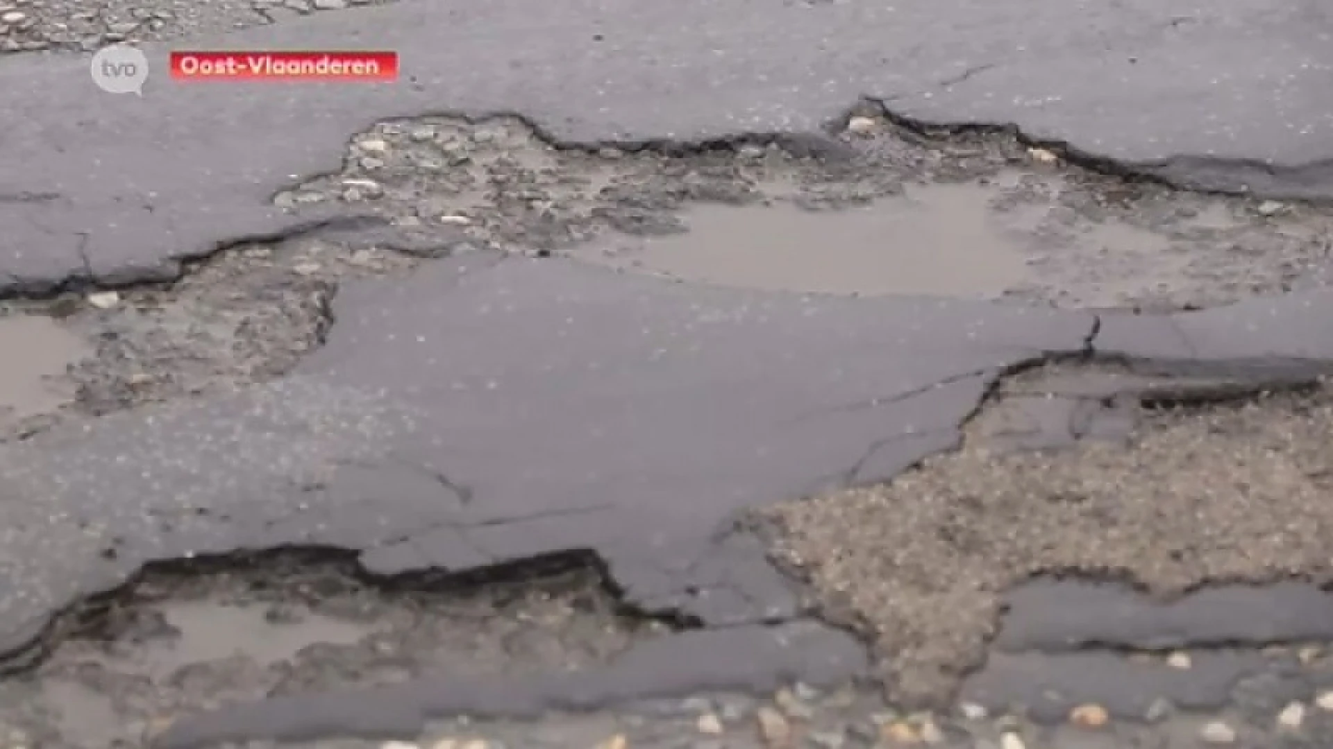 Hoofdafbeelding voor artikel Na de sneeuw en de vorst ...…