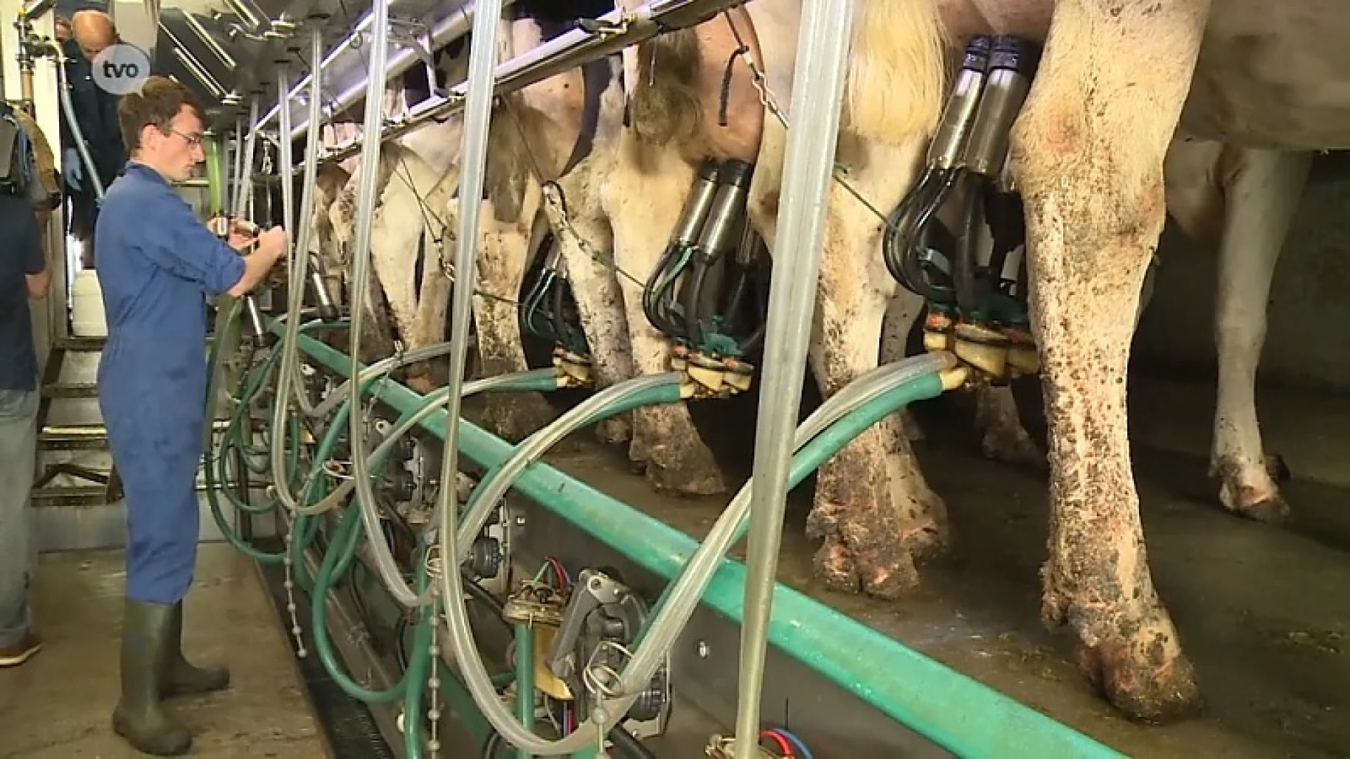 Hoofdafbeelding voor artikel Plattelandspret: Afl. 11 2018