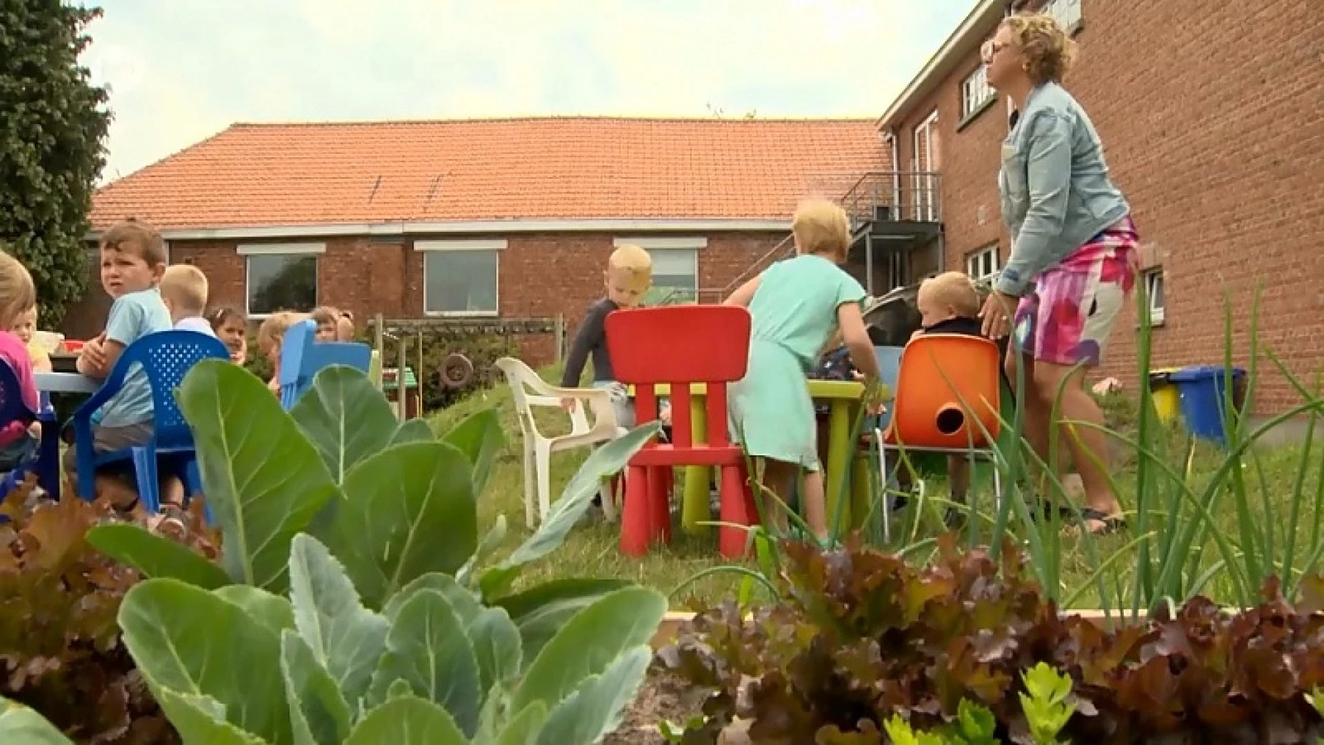 In De Buurt - iedereen tuinman