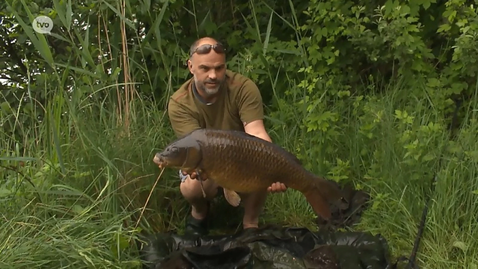 Hoofdafbeelding voor artikel Plattelandspret: Afl. 12 2018