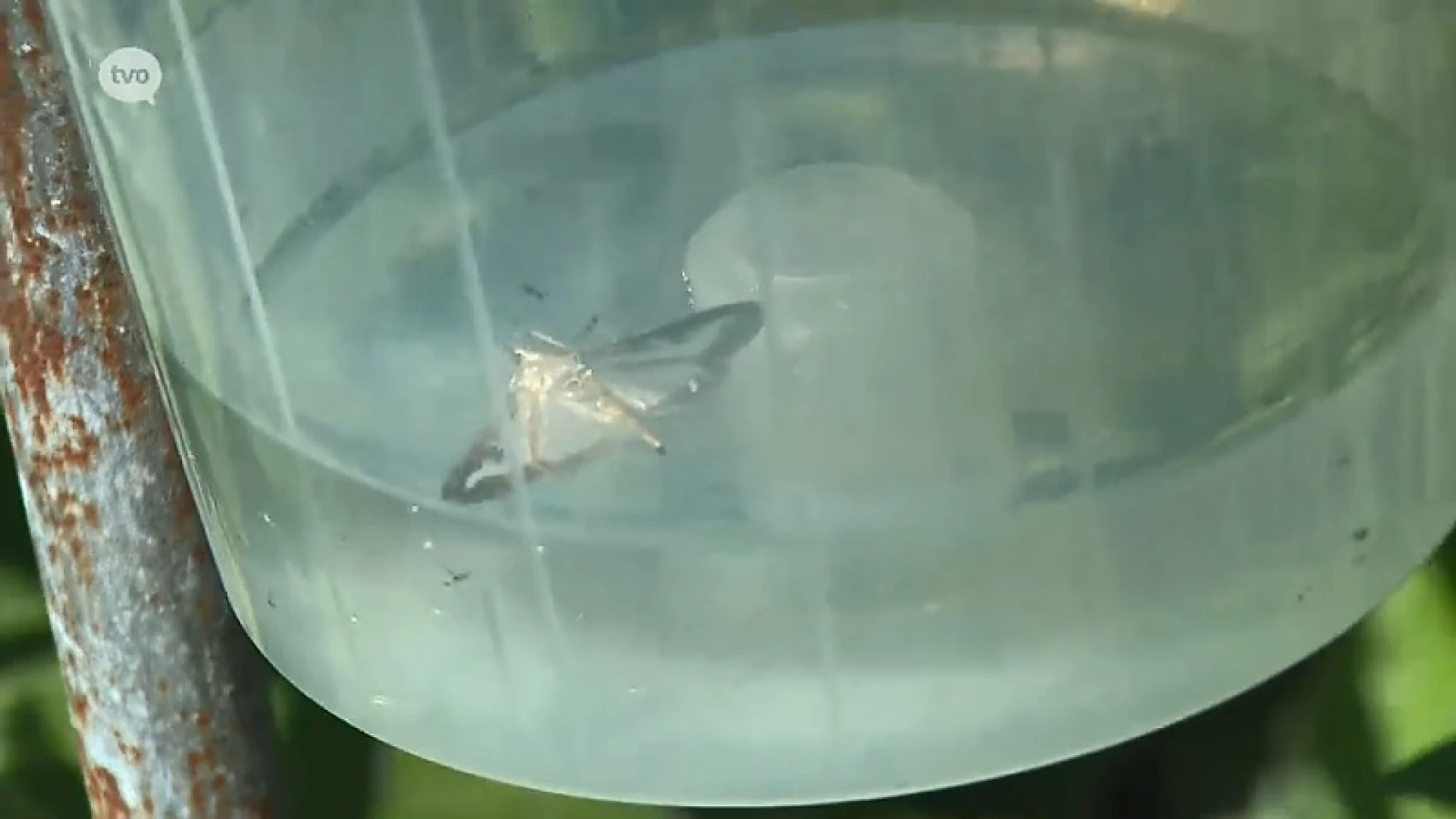 Hoofdafbeelding voor artikel Plattelandspret: Afl. 14 2018