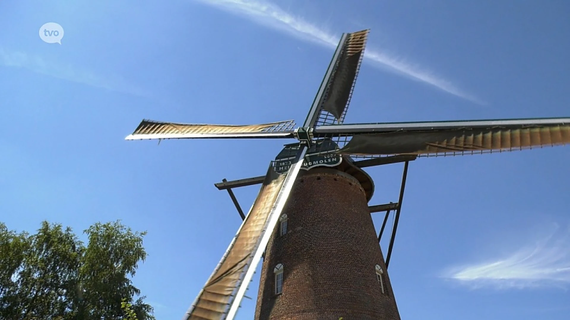 Zomer in Lokeren - Picknickconcert Heirbrugmolen